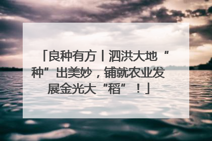 良种有方丨泗洪大地“种”出美妙，铺就农业发展金光大“稻”！