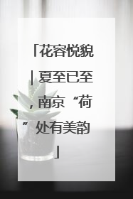 花容悦貌｜夏至已至，南京“荷”处有美韵