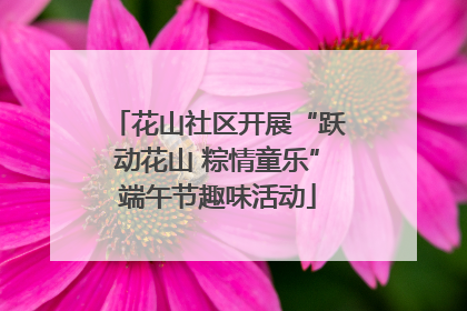 花山社区开展“跃动花山 粽情童乐”端午节趣味活动