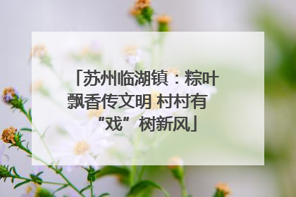 苏州临湖镇：粽叶飘香传文明 村村有“戏”树新风
