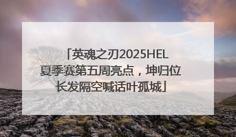 英魂之刃2025HEL夏季赛第五周亮点，坤归位长发隔空喊话叶孤城