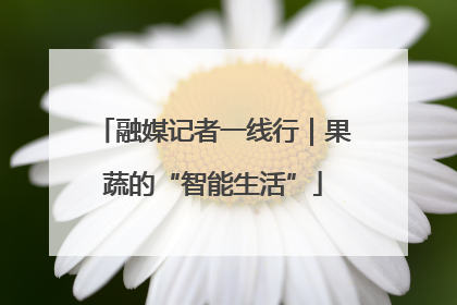 融媒记者一线行｜果蔬的“智能生活”