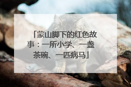 蒙山脚下的红色故事：一所小学、一盏茶碗、一匹病马