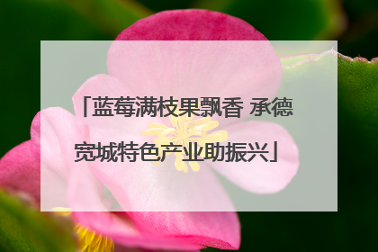 蓝莓满枝果飘香 承德宽城特色产业助振兴