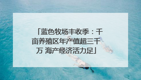 蓝色牧场丰收季：千亩养殖区年产值超三千万 海产经济活力足