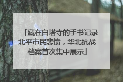 藏在白塔寺的手书记录北平市民悲愤，华北抗战档案首次集中展示