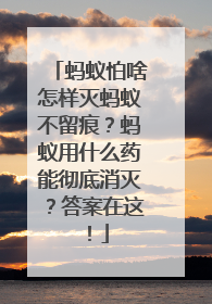 蚂蚁怕啥怎样灭蚂蚁不留痕？蚂蚁用什么药能彻底消灭？答案在这！