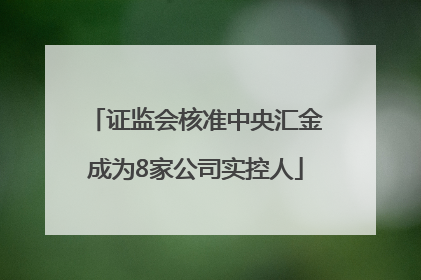 证监会核准中央汇金成为8家公司实控人