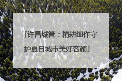 许昌城管：精耕细作守护夏日城市美好容颜