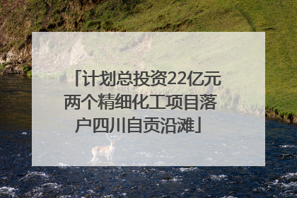 计划总投资22亿元 两个精细化工项目落户四川自贡沿滩