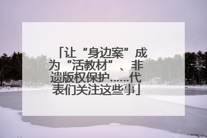 让“身边案”成为“活教材”、非遗版权保护……代表们关注这些事