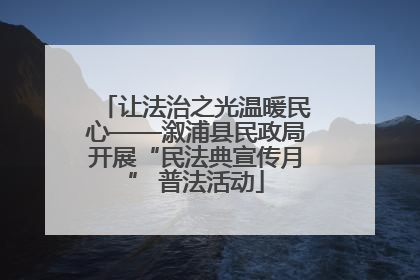 让法治之光温暖民心——溆浦县民政局开展“民法典宣传月” 普法活动