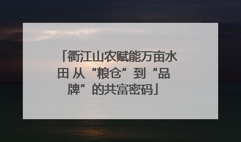 衢江山农赋能万亩水田 从“粮仓”到“品牌”的共富密码