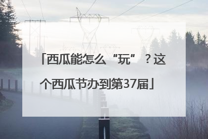 西瓜能怎么“玩”？这个西瓜节办到第37届