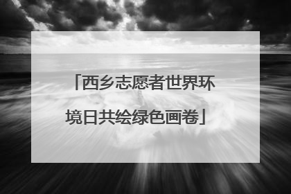 西乡志愿者世界环境日共绘绿色画卷