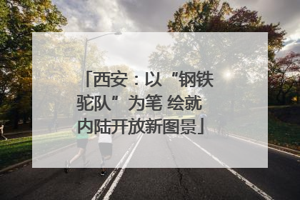 西安：以“钢铁驼队”为笔 绘就内陆开放新图景