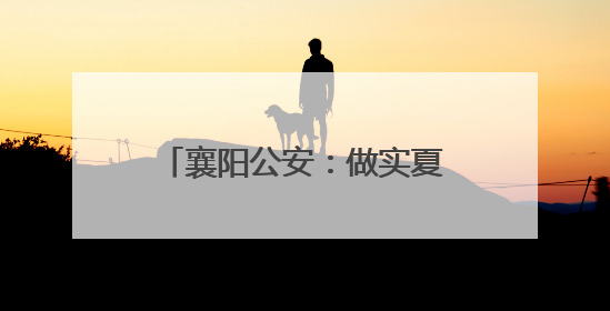 襄阳公安：做实夏日“夜警务” 护航城市“夜精彩”