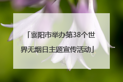 襄阳市举办第38个世界无烟日主题宣传活动