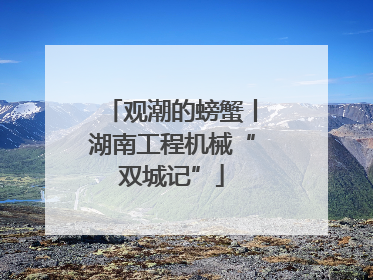 观潮的螃蟹丨湖南工程机械“双城记”