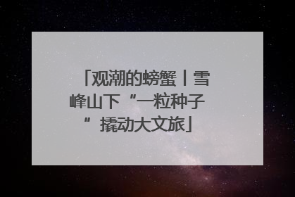 观潮的螃蟹丨雪峰山下“一粒种子”撬动大文旅