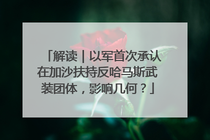 解读｜以军首次承认在加沙扶持反哈马斯武装团体，影响几何？