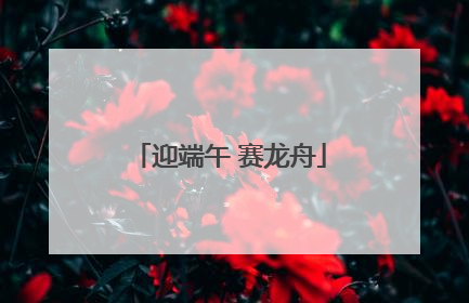 迎端午 赛龙舟