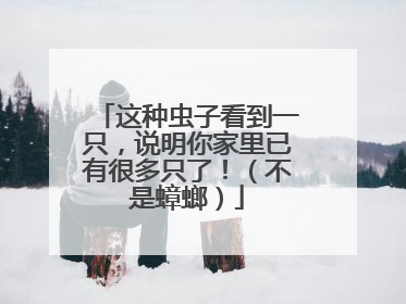 这种虫子看到一只，说明你家里已有很多只了！（不是蟑螂）