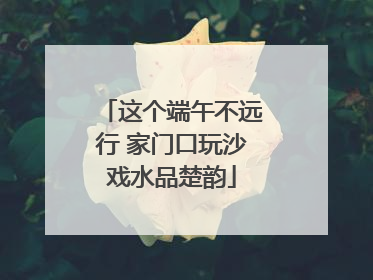 这个端午不远行 家门口玩沙戏水品楚韵