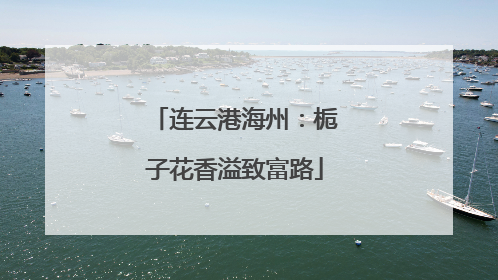 连云港海州：栀子花香溢致富路