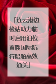 连云港边检站助力临时启用泊位首艘国际航行船舶高效通关