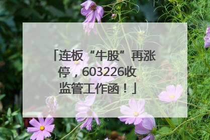 连板“牛股”再涨停，603226收监管工作函！