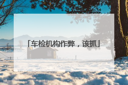 车检机构作弊，该抓