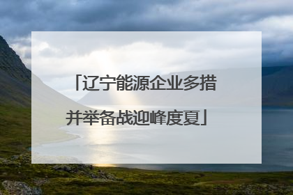 辽宁能源企业多措并举备战迎峰度夏