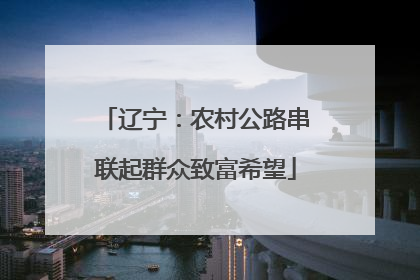 辽宁：农村公路串联起群众致富希望