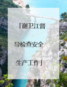 谢卫江督导检查安全生产工作