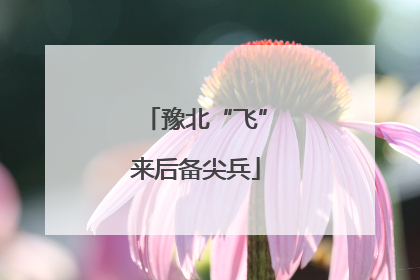 豫北“飞”来后备尖兵