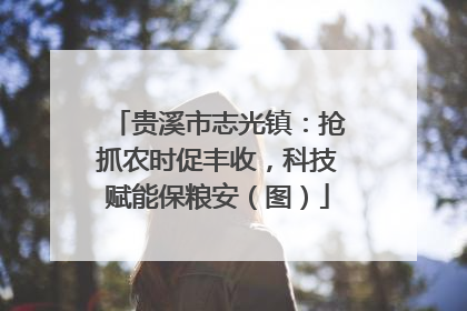 贵溪市志光镇：抢抓农时促丰收，科技赋能保粮安（图）