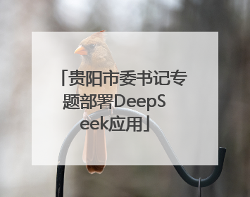 贵阳市委书记专题部署DeepSeek应用