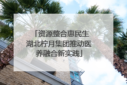 资源整合惠民生 湖北柠月集团推动医养融合新实践