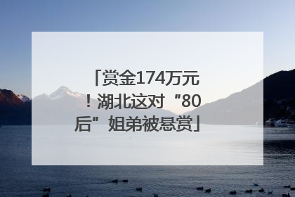 赏金174万元！湖北这对“80后”姐弟被悬赏
