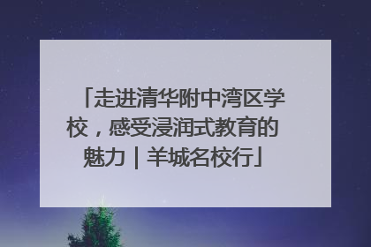走进清华附中湾区学校，感受浸润式教育的魅力｜羊城名校行