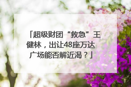 超级财团“救急”王健林，出让48座万达广场能否解近渴？