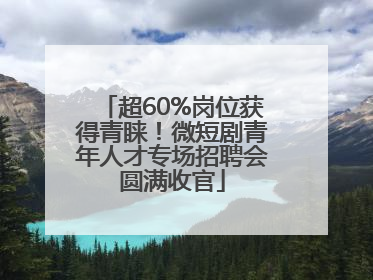 超60%岗位获得青睐！微短剧青年人才专场招聘会圆满收官