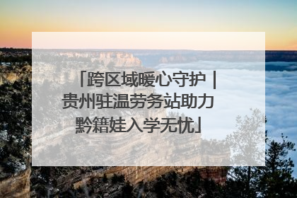 跨区域暖心守护｜贵州驻温劳务站助力黔籍娃入学无忧