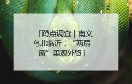 蹲点调查｜南义乌北临沂，“两扇窗”里观外贸
