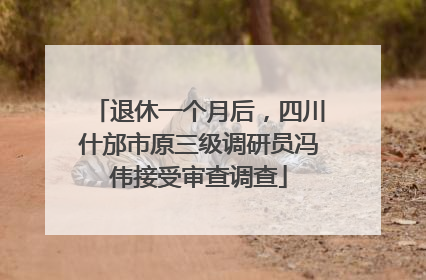 退休一个月后，四川什邡市原三级调研员冯伟接受审查调查