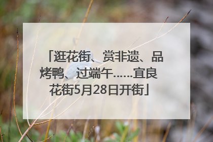 逛花街、赏非遗、品烤鸭、过端午……宜良花街5月28日开街