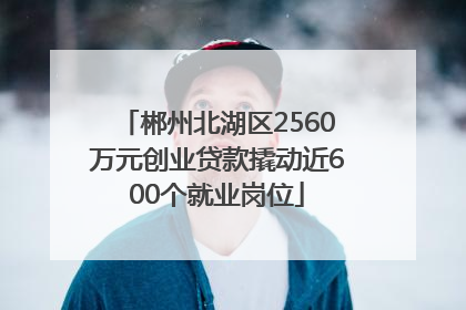 郴州北湖区2560万元创业贷款撬动近600个就业岗位