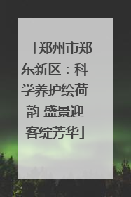 郑州市郑东新区：科学养护绘荷韵 盛景迎客绽芳华