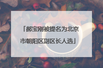 郝宝刚被提名为北京市朝阳区副区长人选